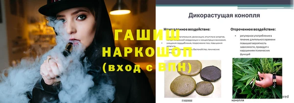 соль ск Вязьма