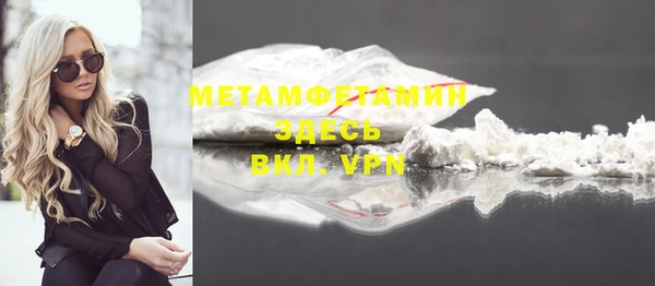 сатива Волоколамск