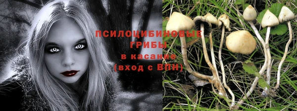соль ск Вязьма