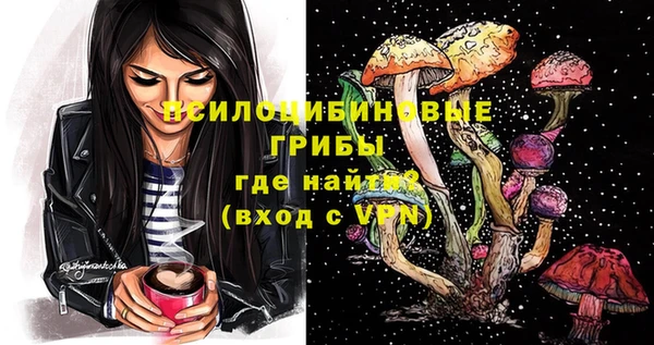 соль ск Вязьма