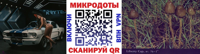 МЕГА зеркало  дарнет шоп  Печора  Псилоцибиновые грибы GOLDEN TEACHER 